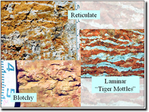 Photo: 3 examples of mottle patterns