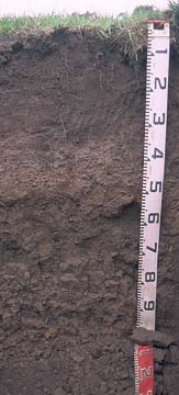 Image:  SW25 Profile