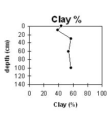 Image:  SW26 Clay