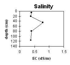 Image:  SW26 Salinity