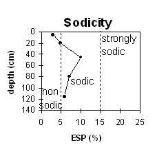 Image:  SW26 Sodicity