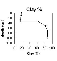 Image:  SW34 Clay