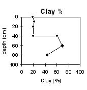 Image:  SW41 Clay