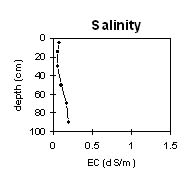 Image:  SW41 Salinity