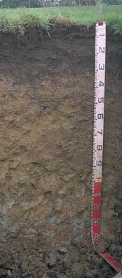 Image:  SW42 Profile