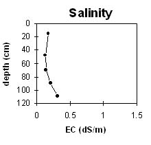 Image:  SW42 Salinity