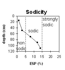 Image:  SW42 Sodicity