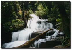 Photo: Triplet Falls