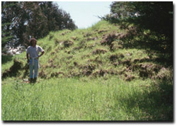 Photo: This shows Tony Miner standing at the toe of the Princetown landslide