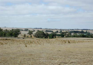 BD12 landscape