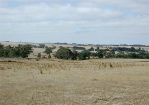 BD13 landscape
