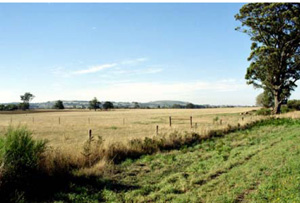 BD2 landscape