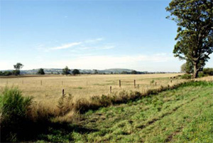 BD3 landscape