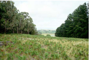 CLRA14 landscape