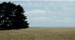 CLRA1 landscape