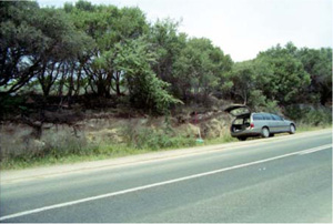 CLRA32 landscape