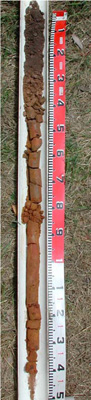 CLRA36 profile