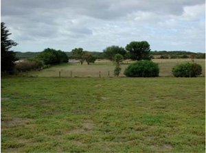 CLRA41 landscape