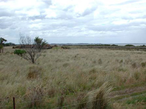 CLRA44 landscape