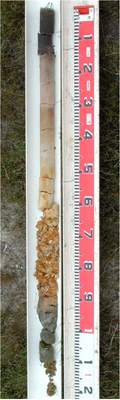 CLRA44 profile