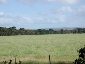 CLRA47 landscape