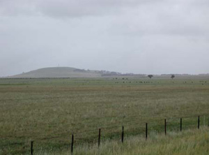 CLRA48 landscape