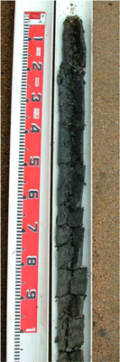 CLRA48 profile