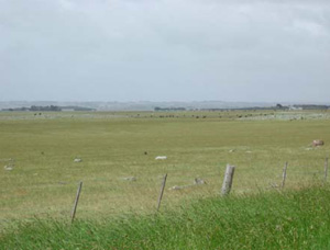 CLRA49 landscape