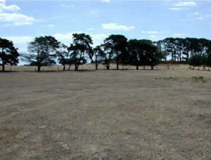 CLRA5 landscape