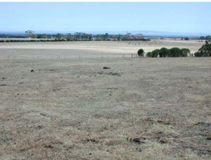 CLRA6 landscape