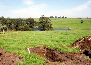CLRA8 landscape