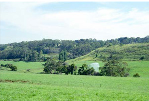 CLRA9 landscape