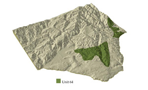 Unit 64 cross section