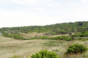 OTR415 landscape