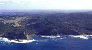 OTR424 landscape