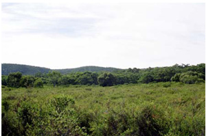 OTR426 landscape