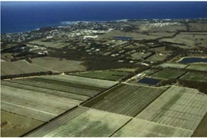 OTR490 landscape
