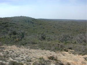 OTR606 landscape