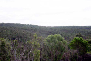 OTR608 landscape