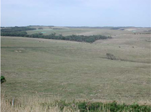 OTR784 landscape