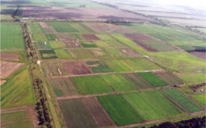 SFS2 landscape