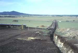 SW101  image1