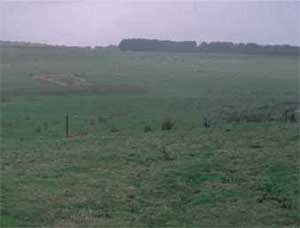 SW23 landscape
