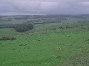 SW24 landscape