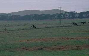 SW25 landscape