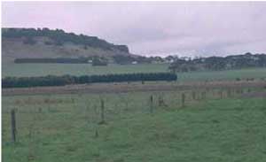 SW26 landscapeq