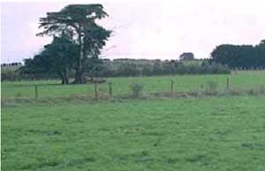 SW27 landscape