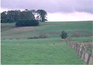 SW2 landscape