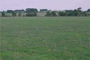SW37 landscape