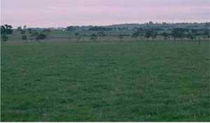 SW38 landscape